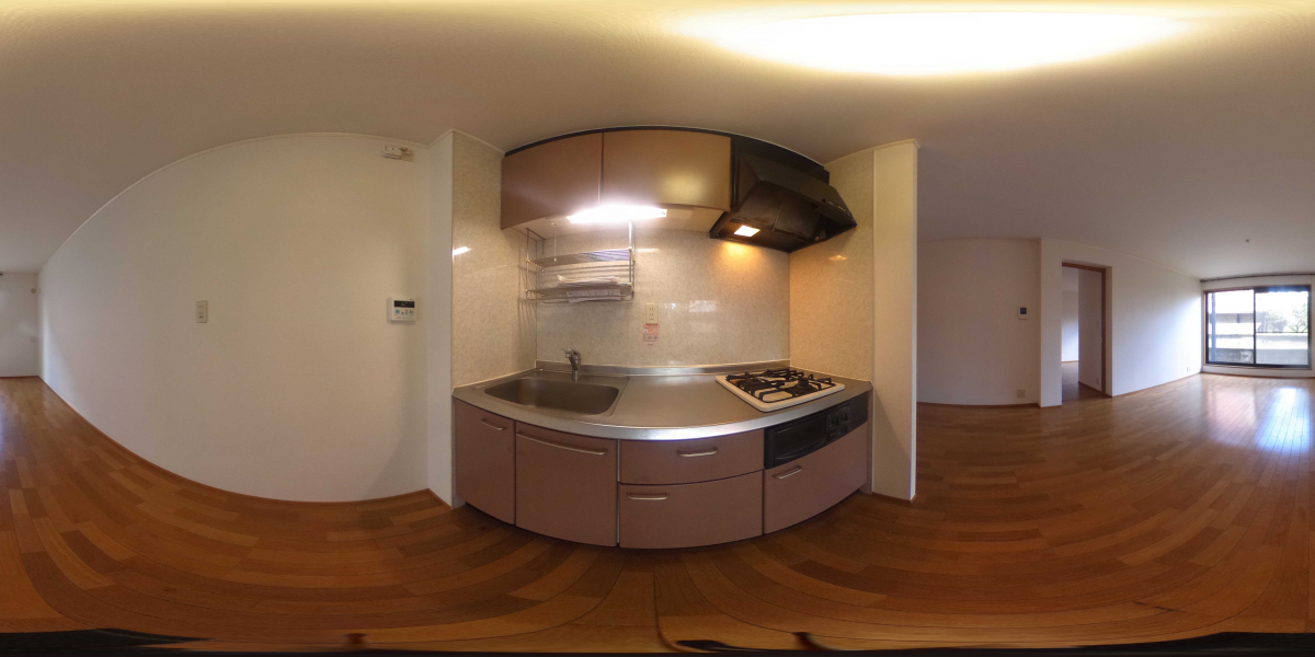 360°パノラマビュー