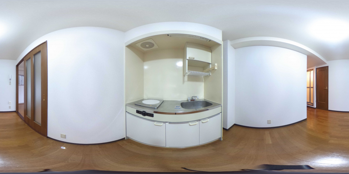 360°パノラマビュー