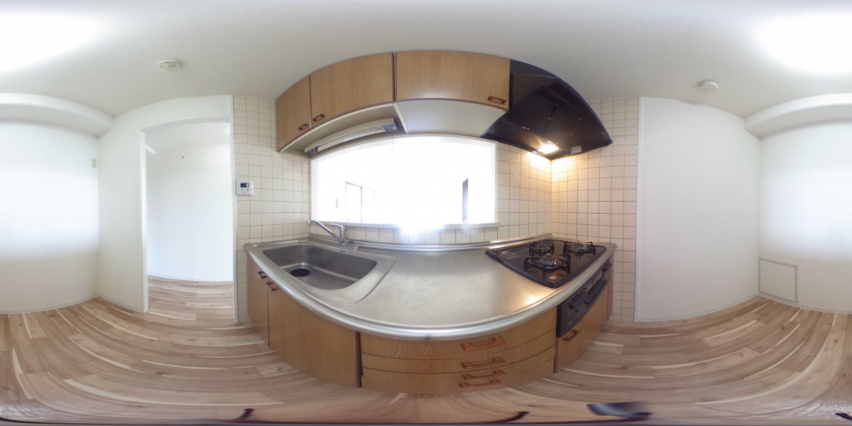 360°パノラマビュー