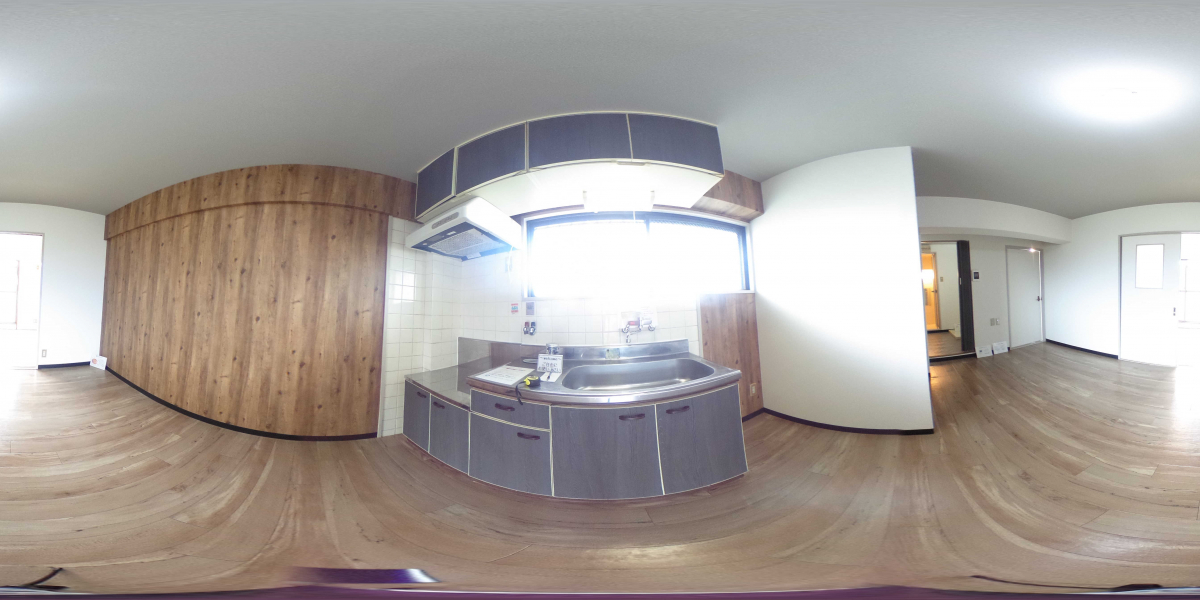 360°パノラマビュー