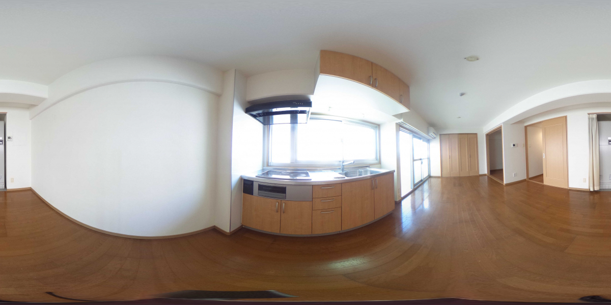 360°パノラマビュー