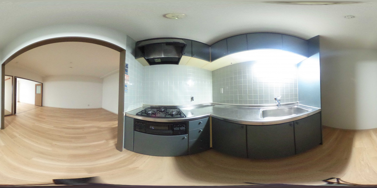 360°パノラマビュー