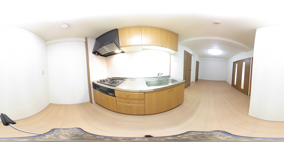 360°パノラマビュー