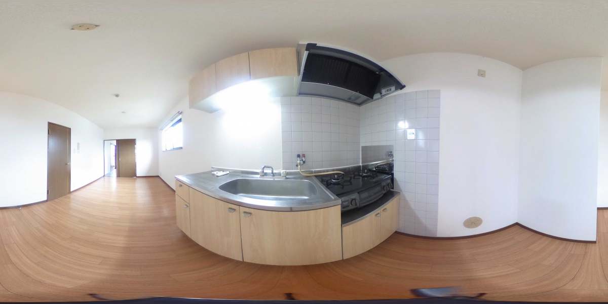 360°パノラマビュー