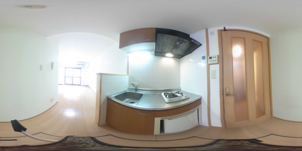 360°パノラマビュー