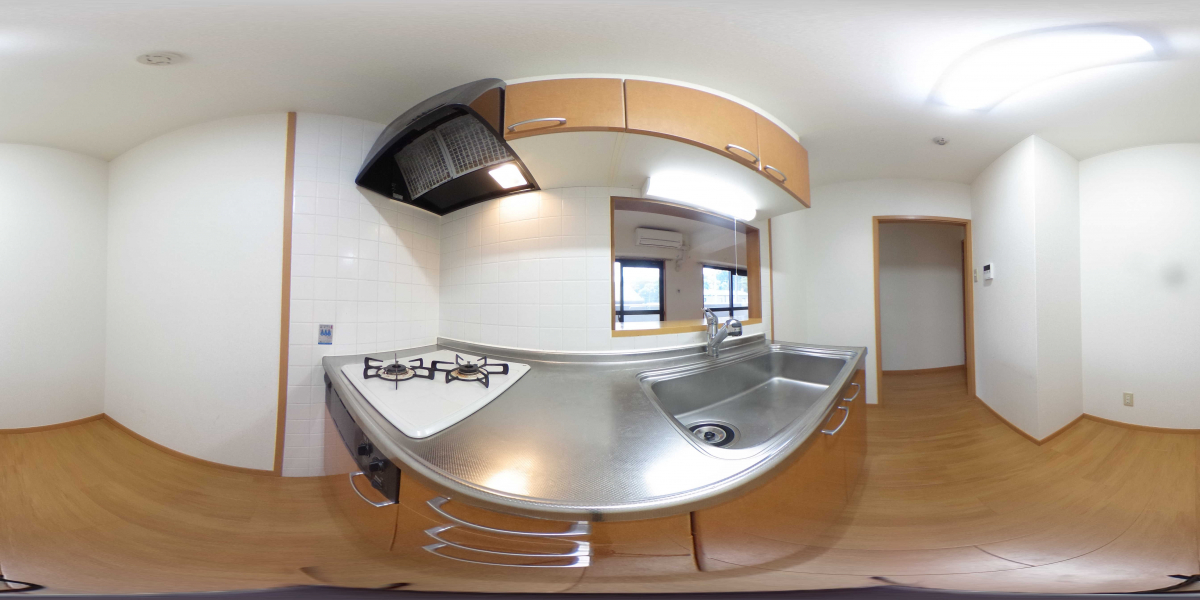 360°パノラマビュー