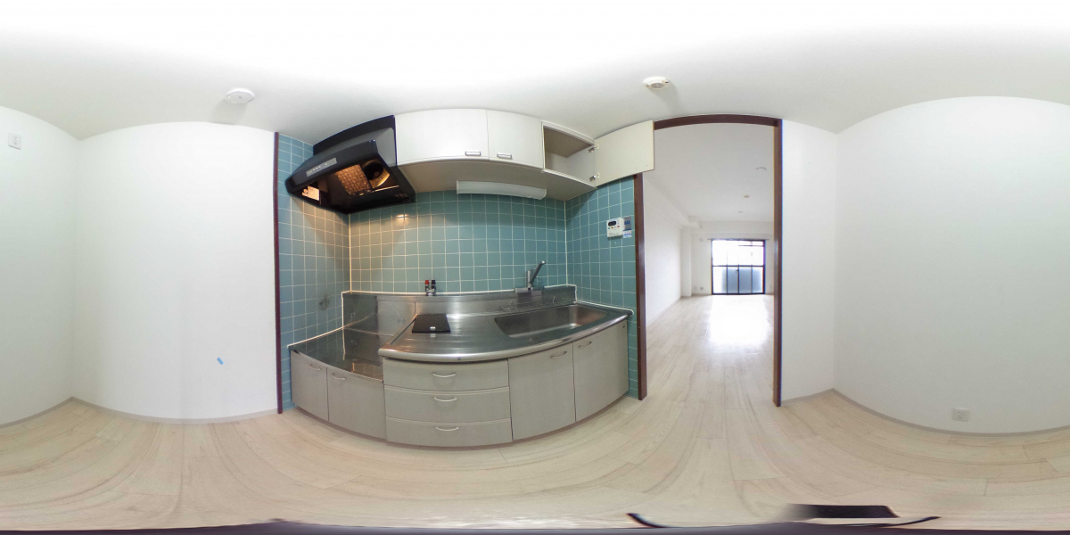 360°パノラマビュー