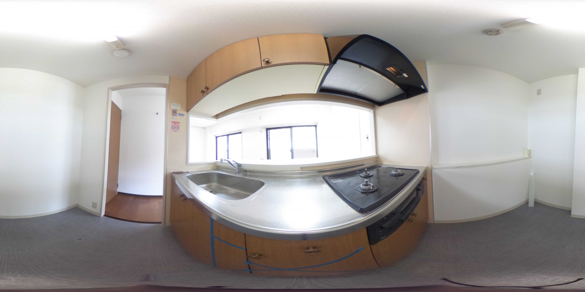 360°パノラマビュー