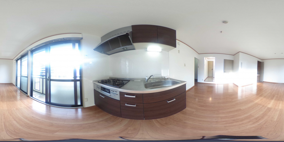 360°パノラマビュー