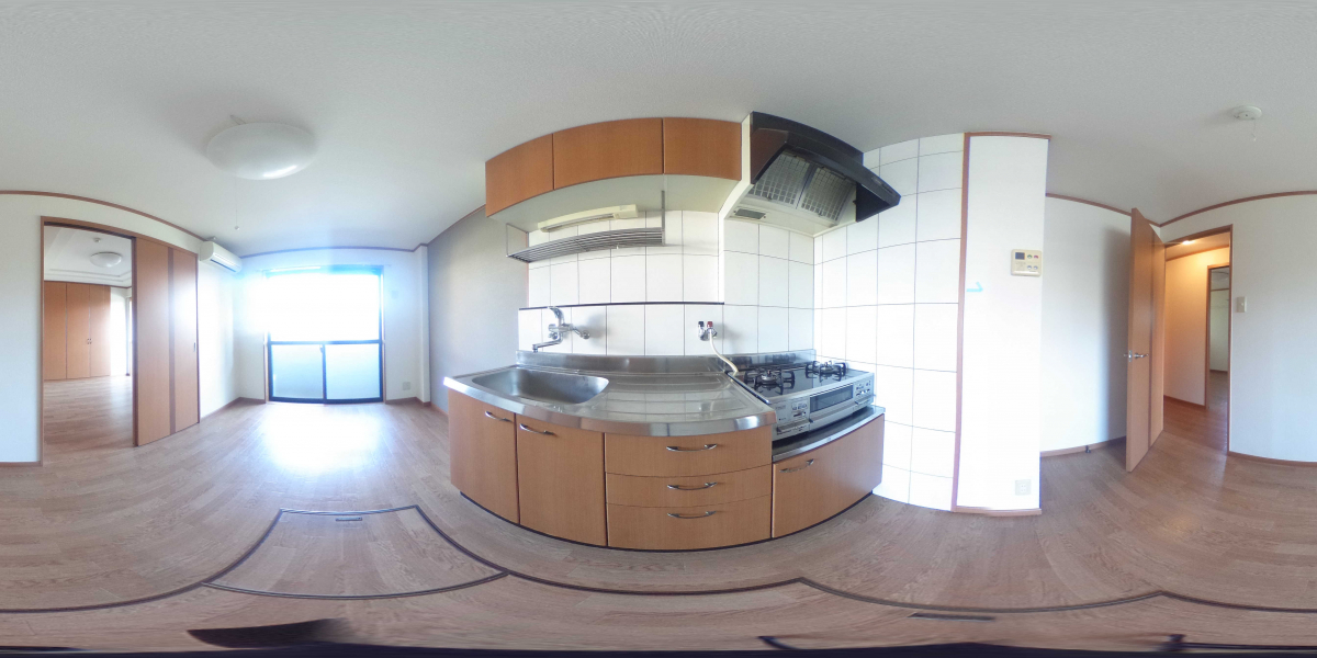 360°パノラマビュー