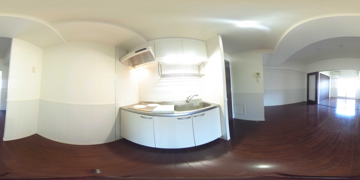 360°パノラマビュー