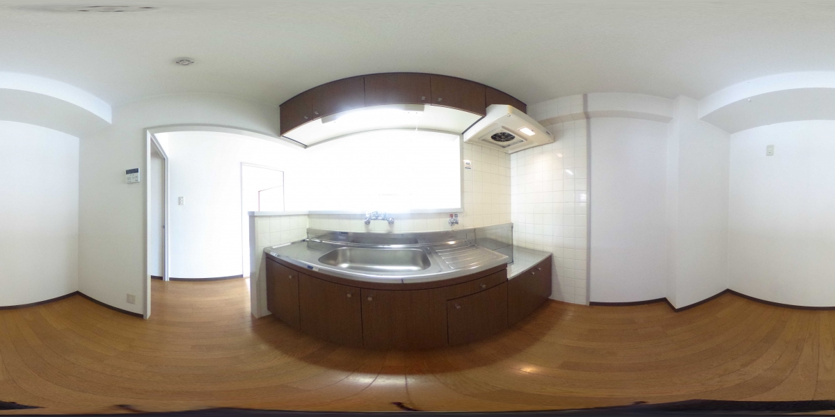 360°パノラマビュー