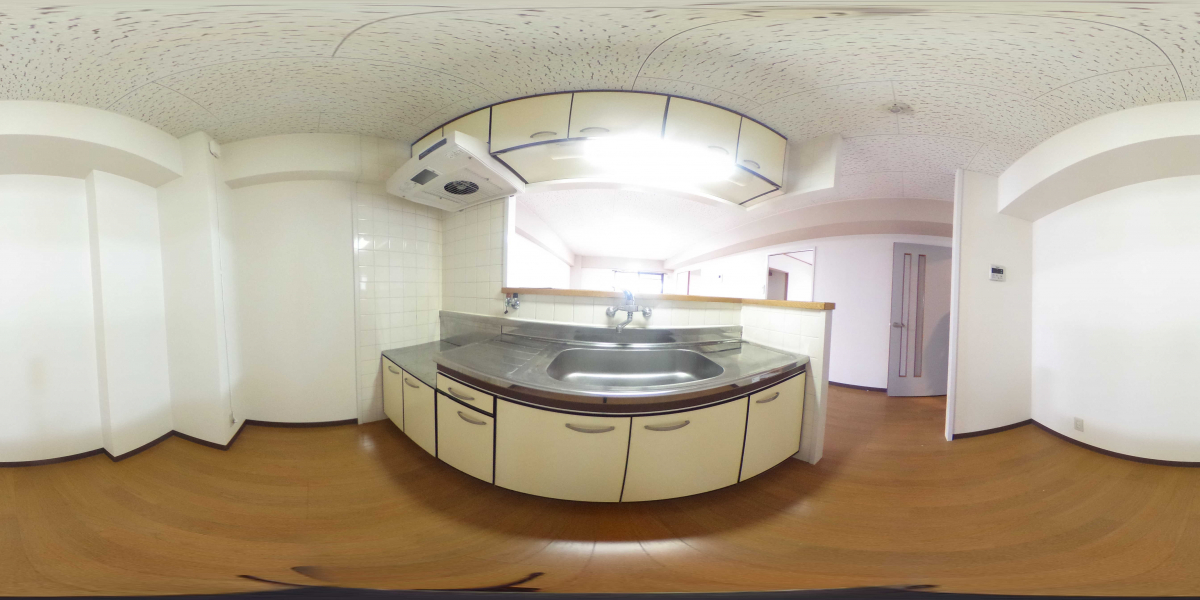 360°パノラマビュー