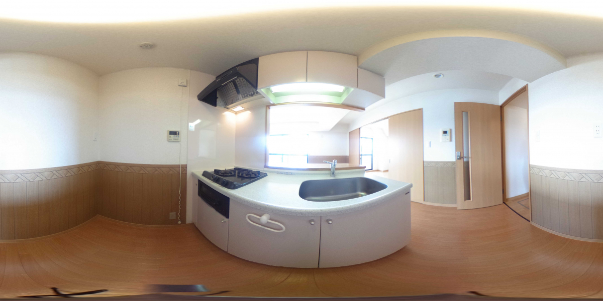 360°パノラマビュー