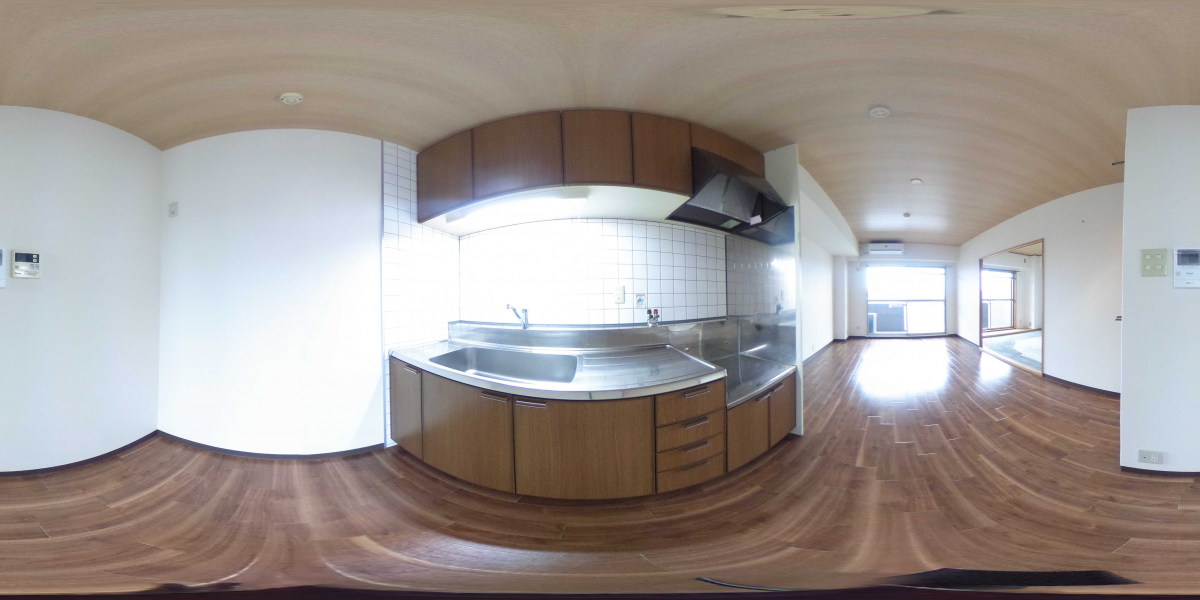 360°パノラマビュー