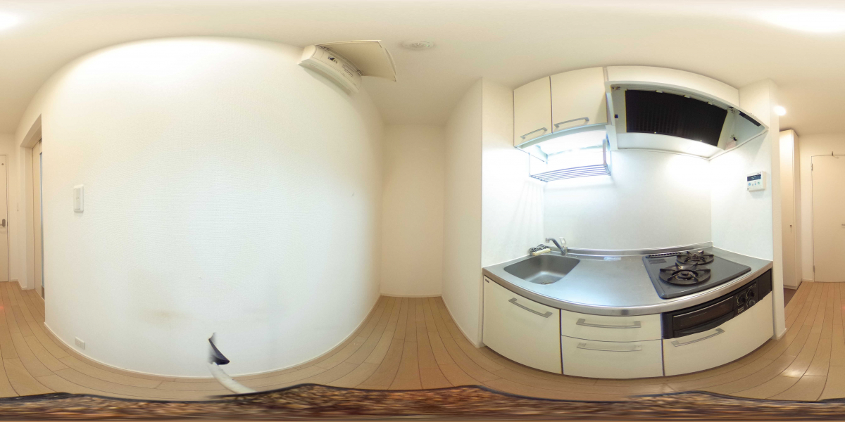 360°パノラマビュー