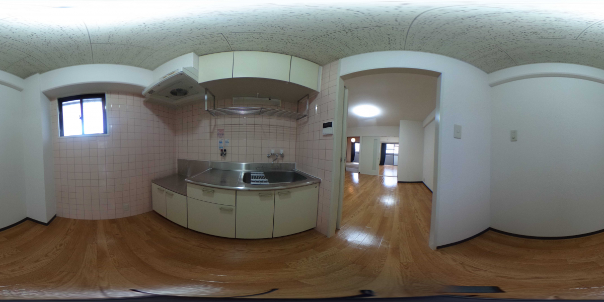 360°パノラマビュー