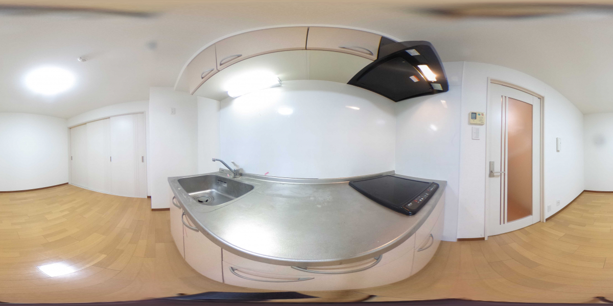 360°パノラマビュー