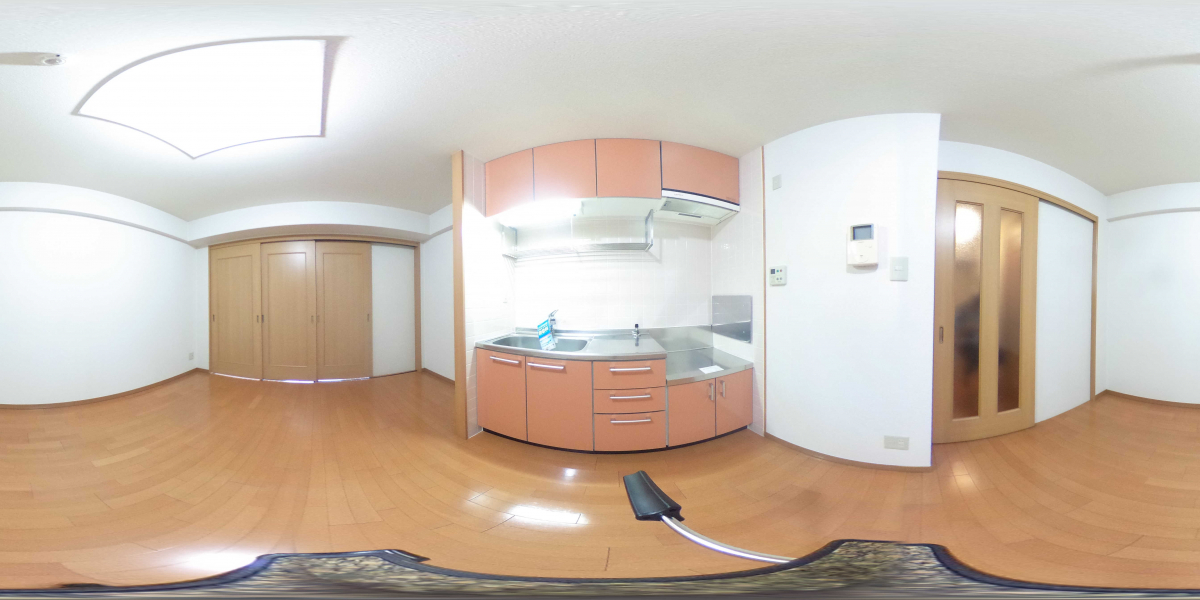 360°パノラマビュー