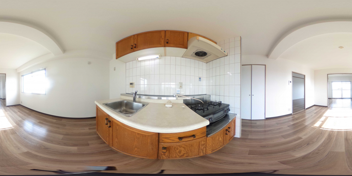 360°パノラマビュー