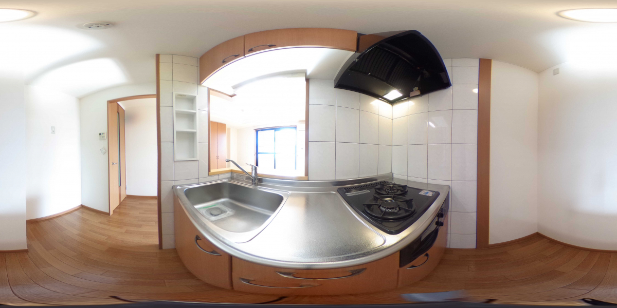 360°パノラマビュー