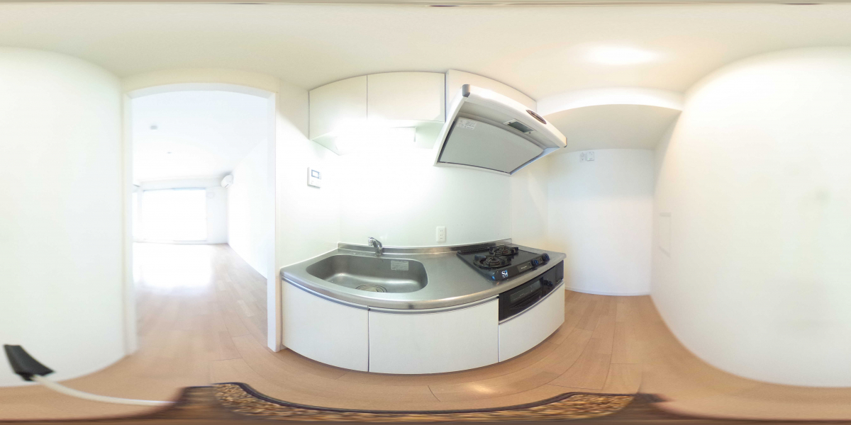 360°パノラマビュー
