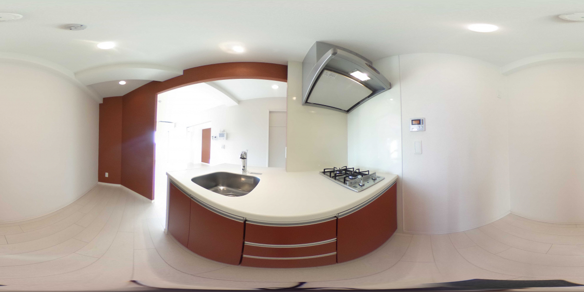 360°パノラマビュー