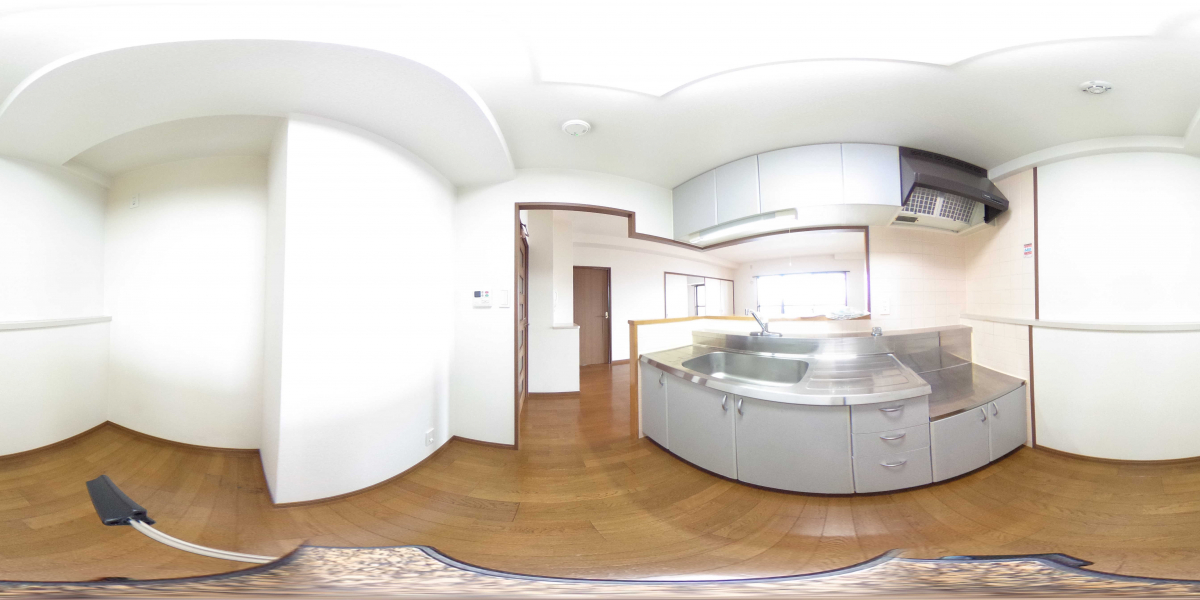 360°パノラマビュー