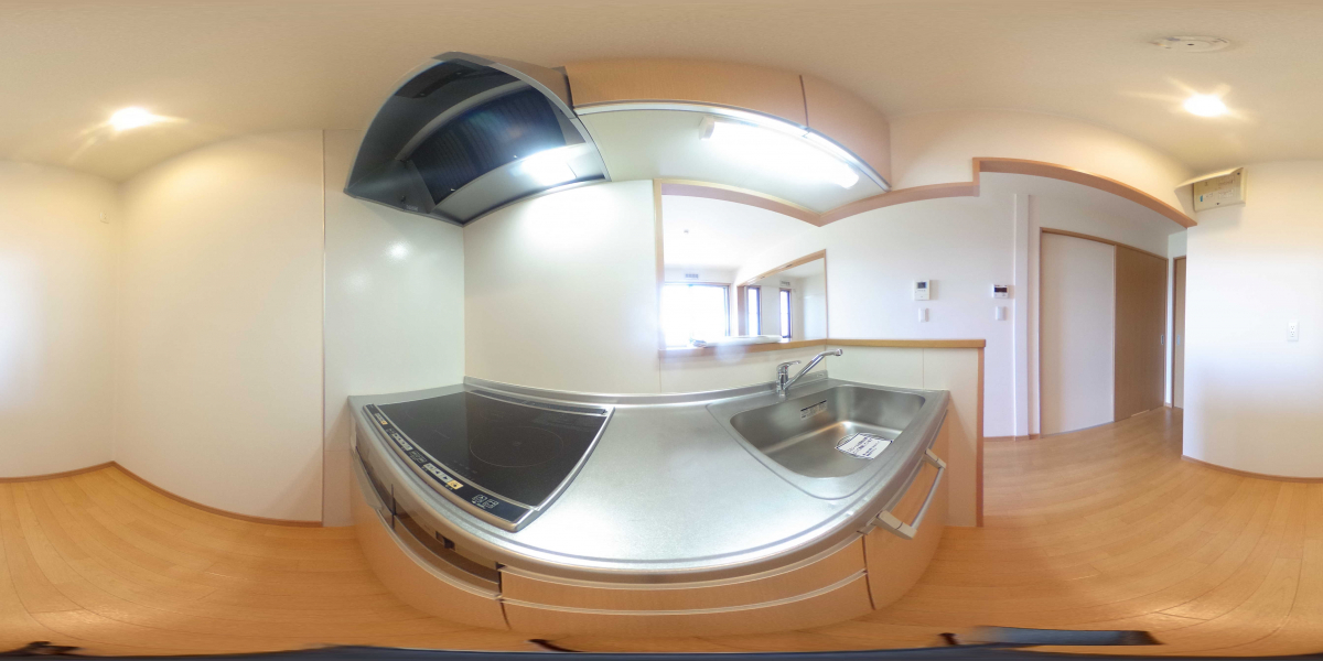 360°パノラマビュー