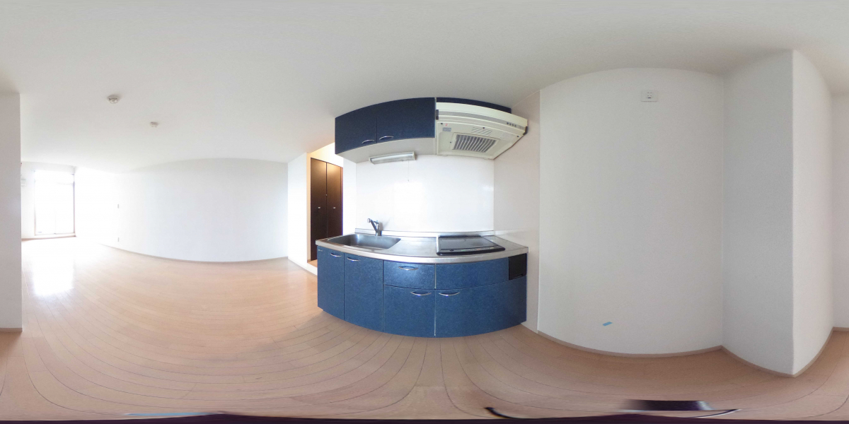 360°パノラマビュー