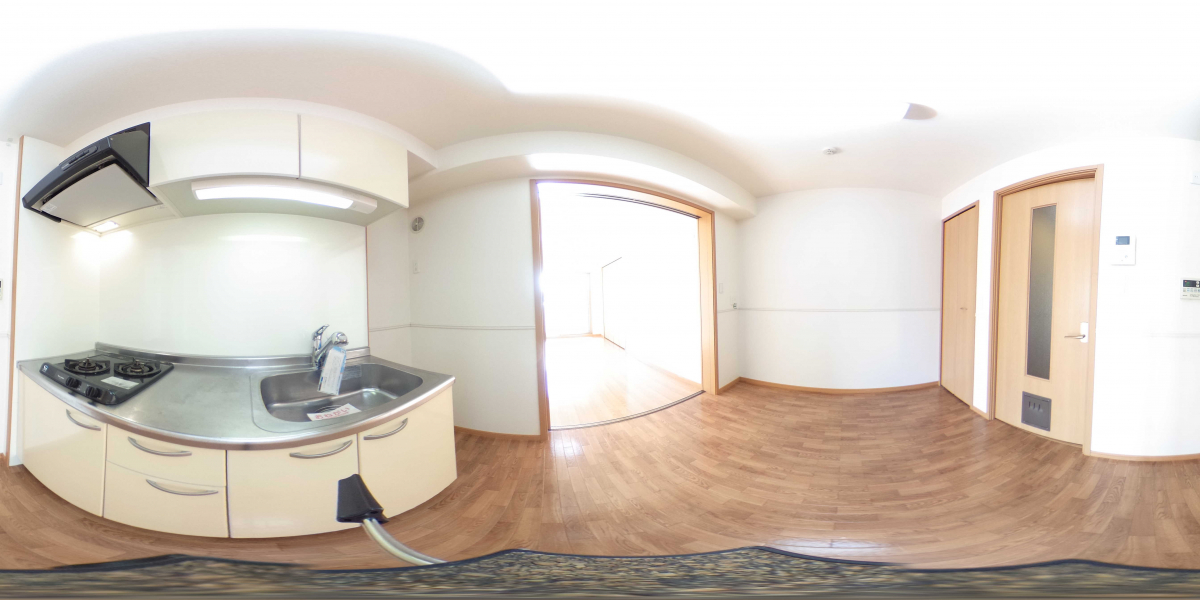 360°パノラマビュー