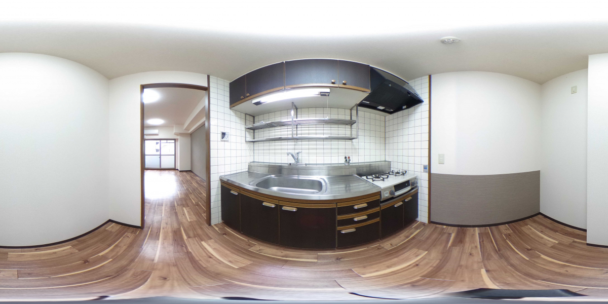 360°パノラマビュー