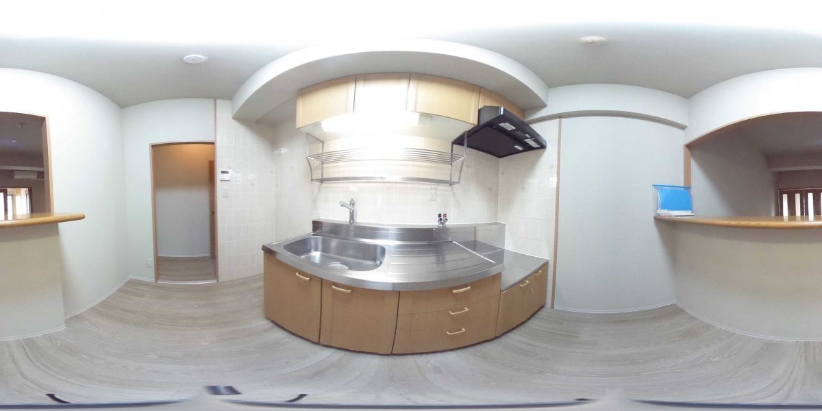 360°パノラマビュー