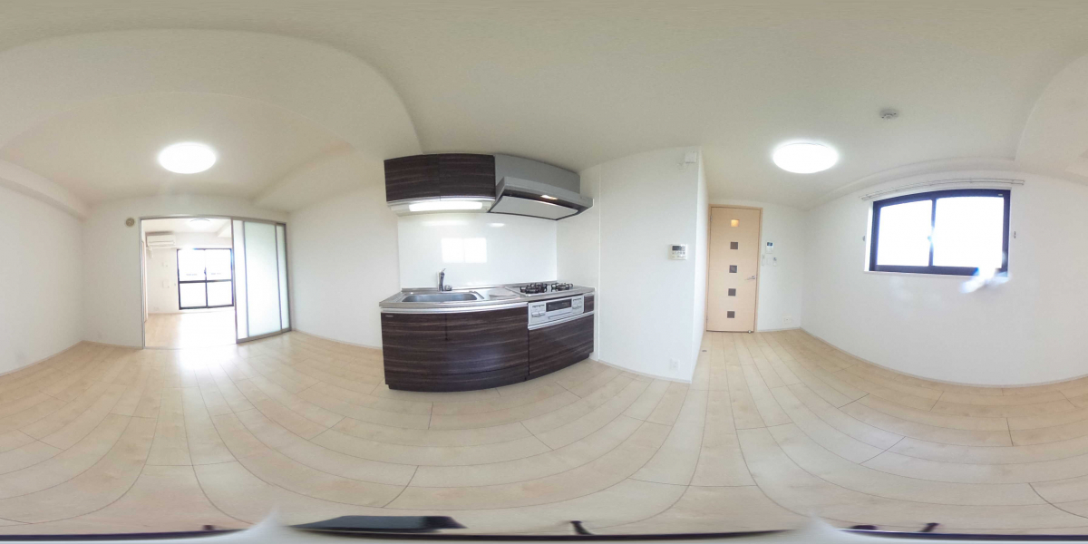 360°パノラマビュー