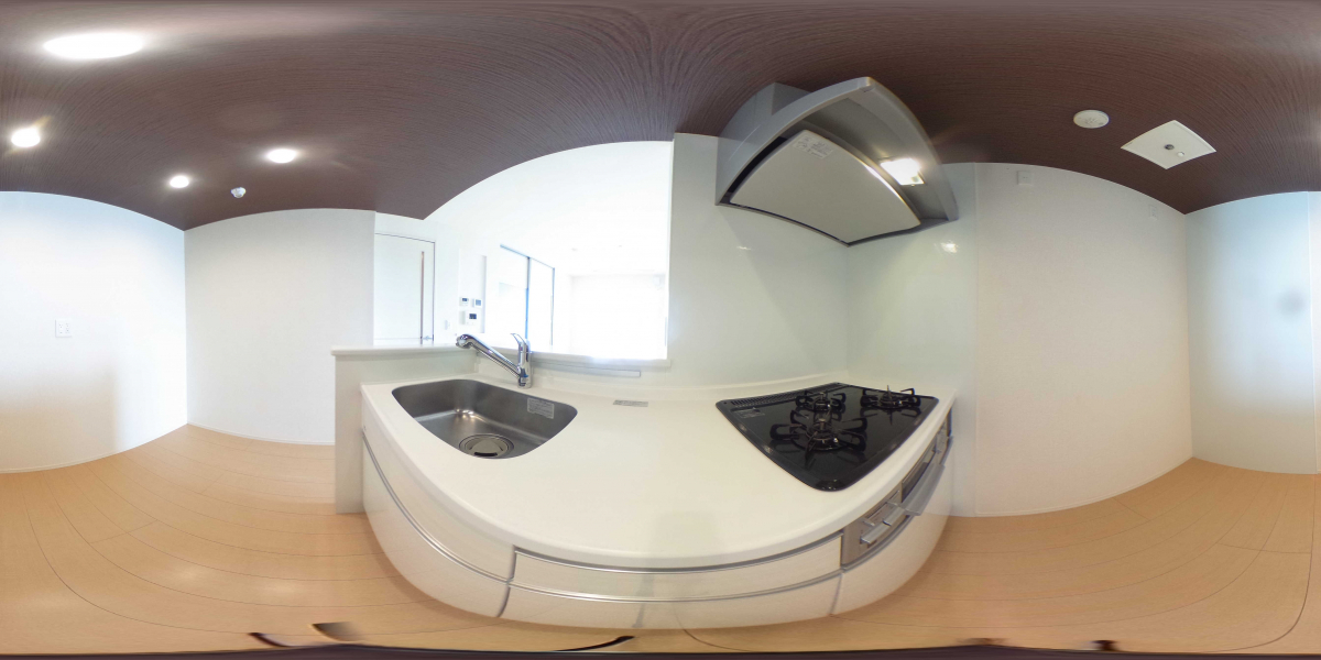 360°パノラマビュー