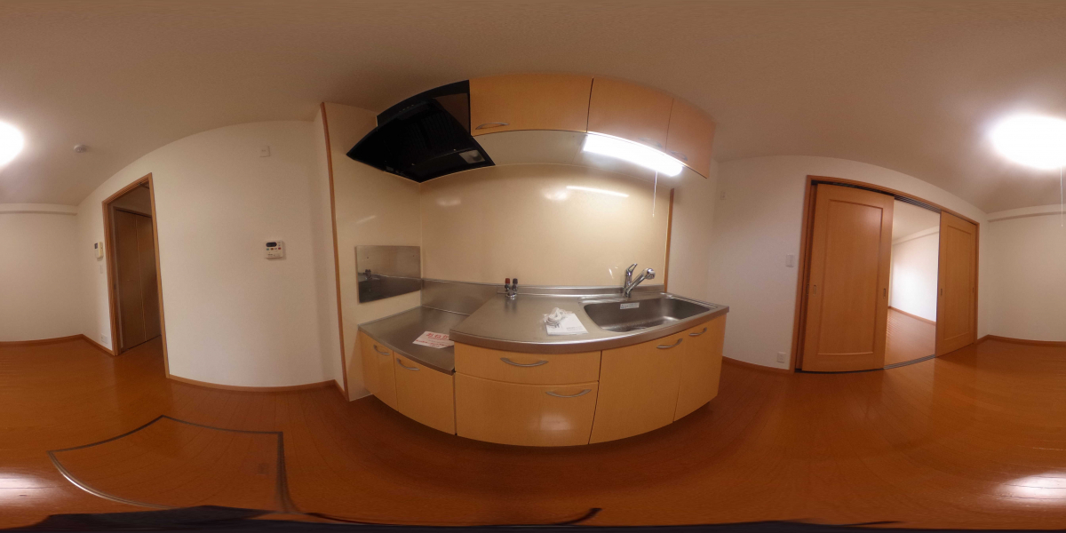 360°パノラマビュー