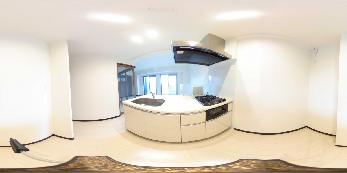 360°パノラマビュー