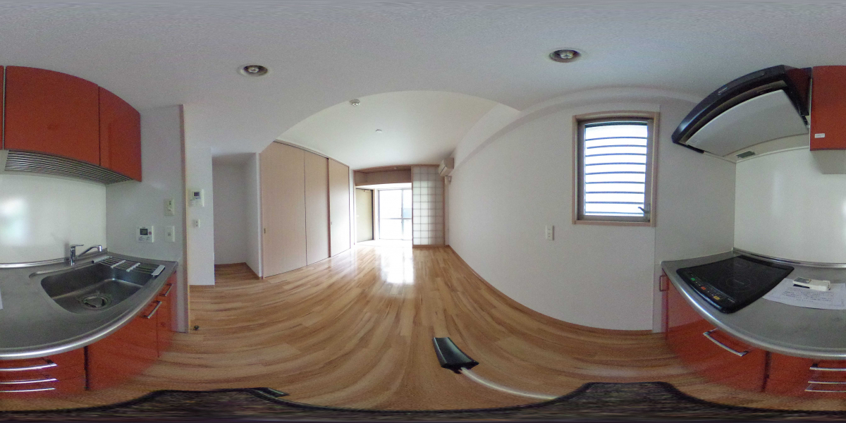 360°パノラマビュー