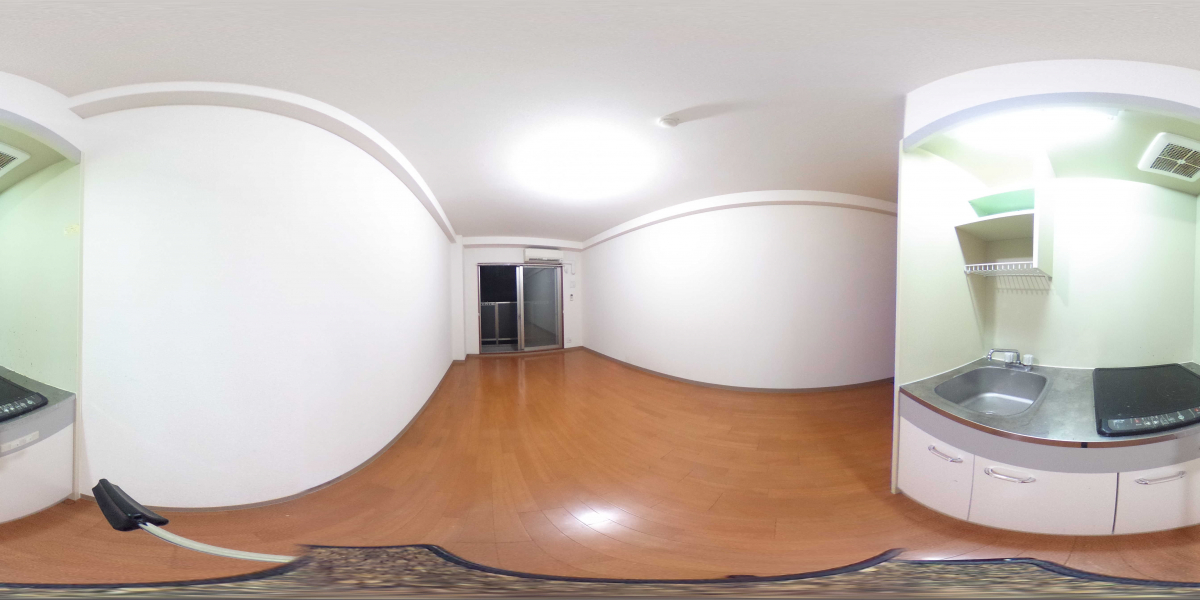 360°パノラマビュー