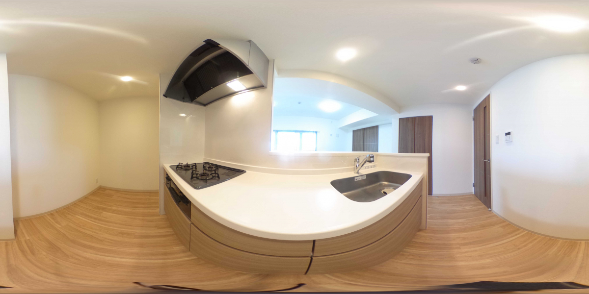 360°パノラマビュー