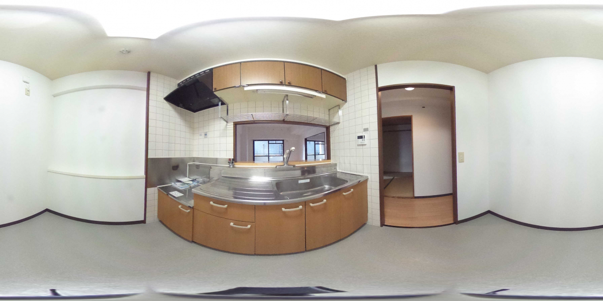 360°パノラマビュー