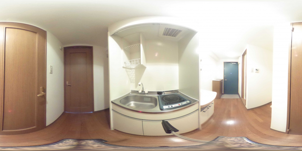 360°パノラマビュー