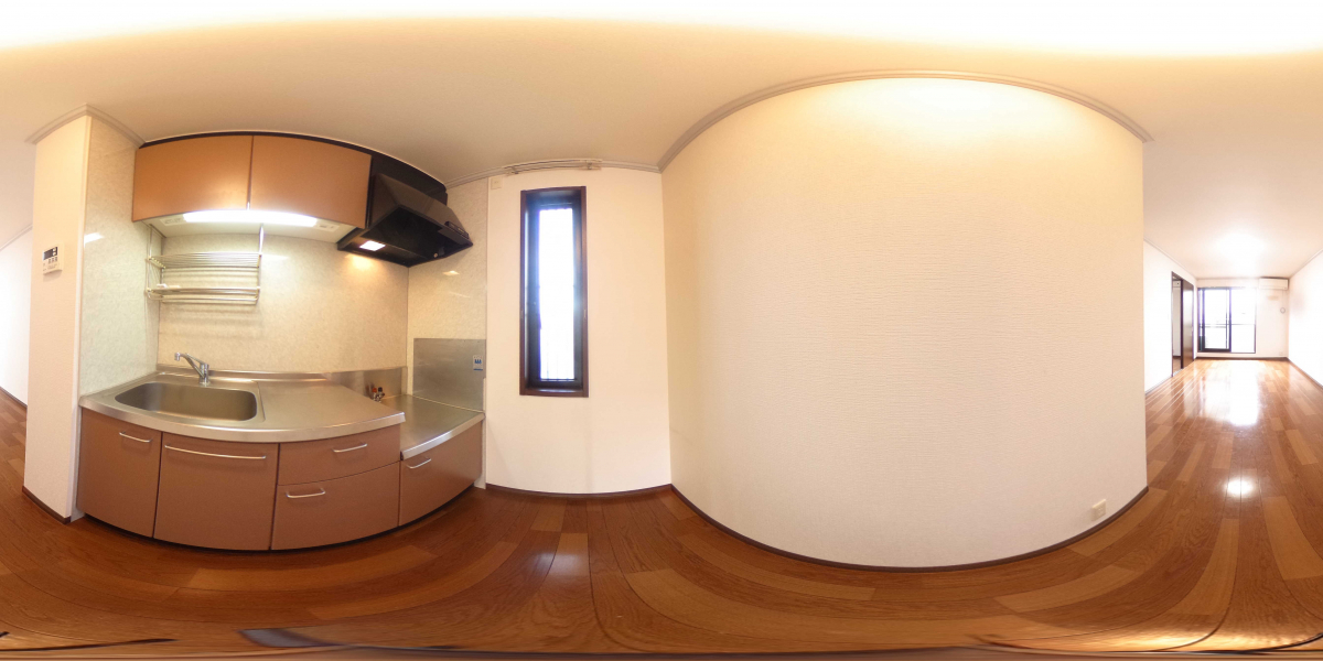 360°パノラマビュー