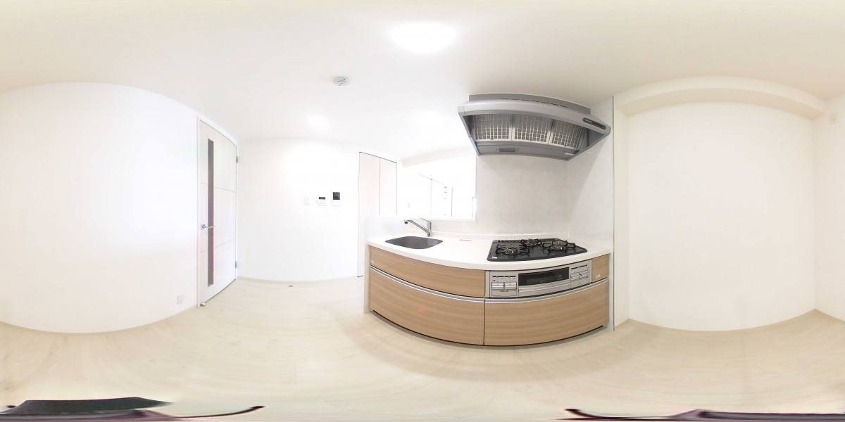 360°パノラマビュー