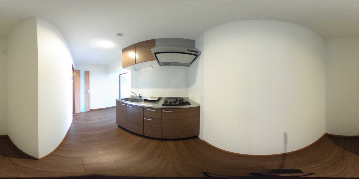 360°パノラマビュー