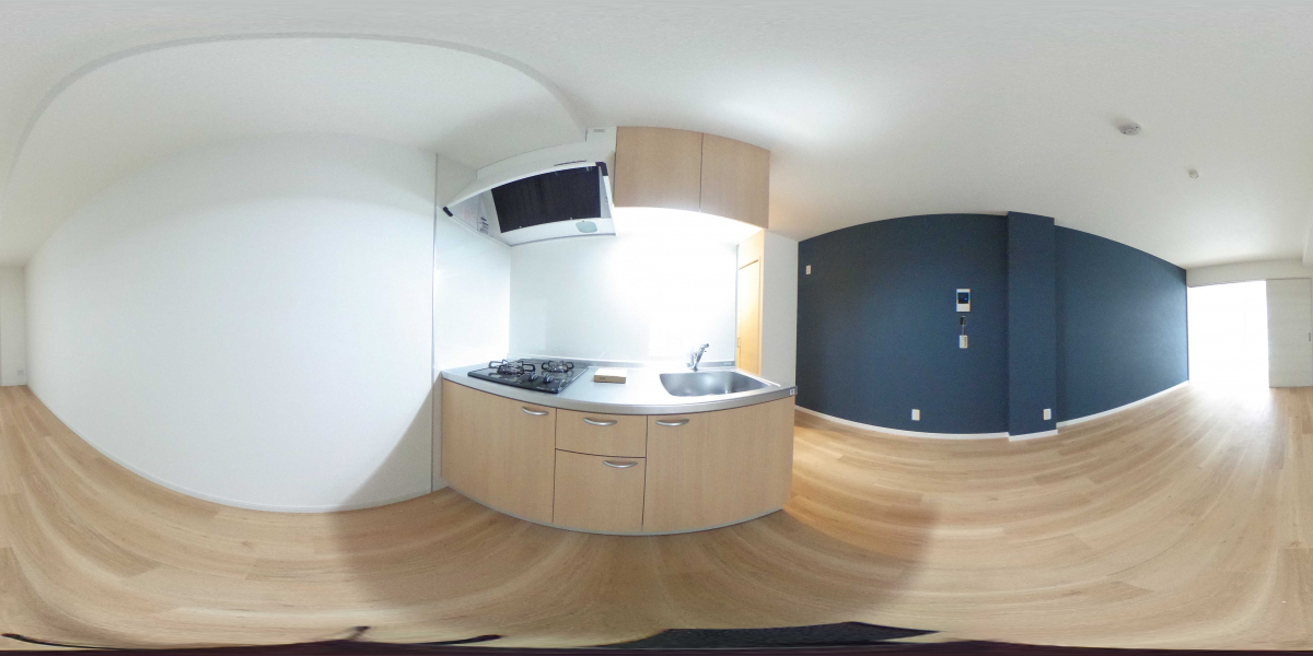 360°パノラマビュー