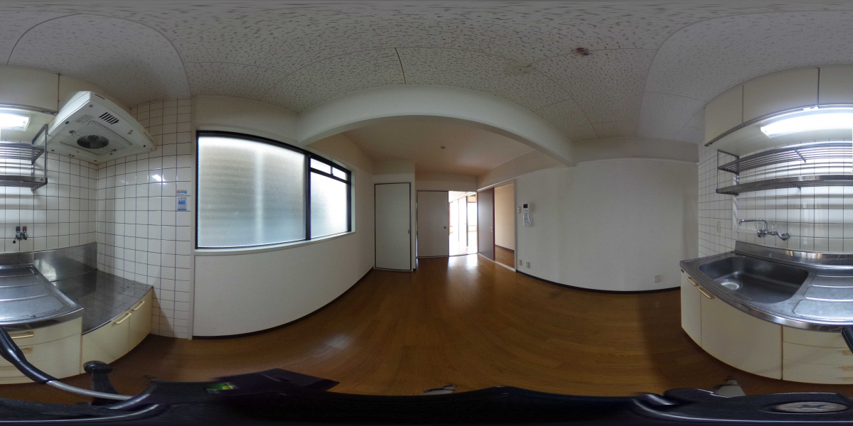 360°パノラマビュー