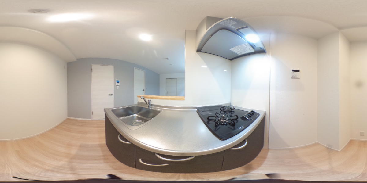 360°パノラマビュー
