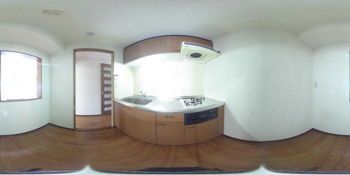 360°パノラマビュー